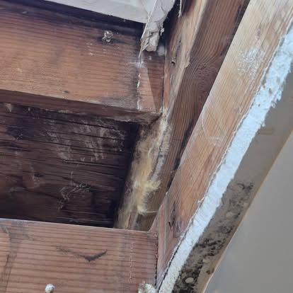 Technician inspecting a home